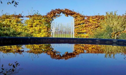 Zdjęcie HOLANDIA / Gelderland / Appeltern / Pergola 1