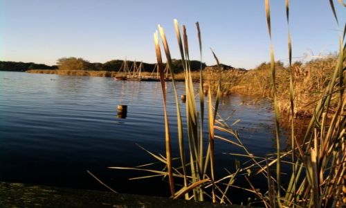Zdjecie HOLANDIA / - / Bleiswijk / Zamylenie
