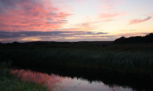 Zdjęcie HOLANDIA / Schagen / Callantsoog  / Różowe niebo