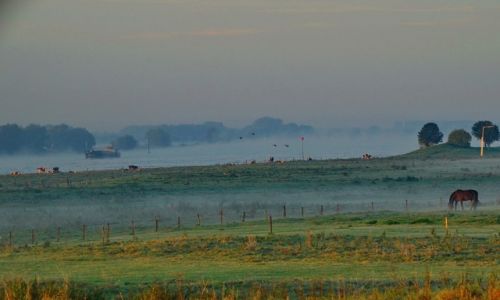 Zdjcie HOLANDIA / Geldria / Ochten / Krajobraz nad rzek Waal