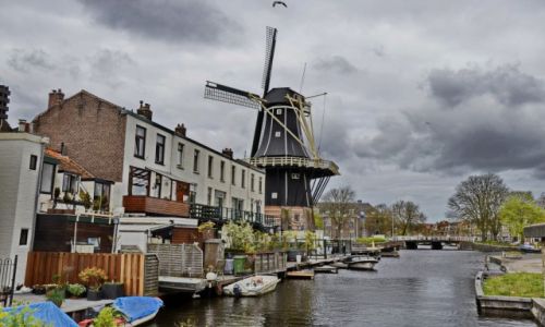 Zdjecie HOLANDIA / Noord Holland / Haarlem / Kana w Haarlemie