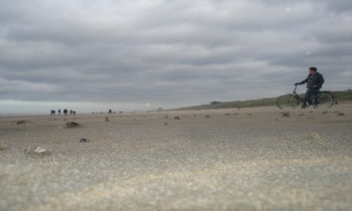 Zdjęcie HOLANDIA / - / Zandford / Piaski