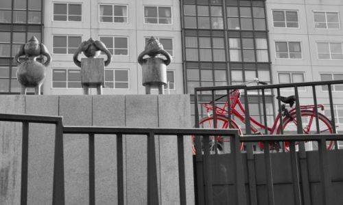 Zdjcie HOLANDIA / Holandia Poudniowa / Haga / Trzy mdre mapy w wersji holenderskiej + rower