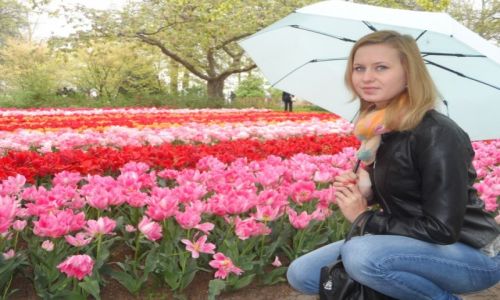 Zdjecie HOLANDIA / Koukenhof / Holandia / W wiecie tulipanw