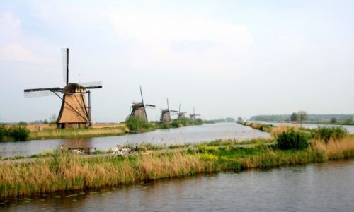 Zdjcie HOLANDIA / Kinderdijk / Kinderdijk / Wiatraki Kinderdijk