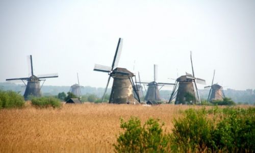 Zdjecie HOLANDIA / Kinderdijk / Kinderdijk / Wiatraki Kinderdijk