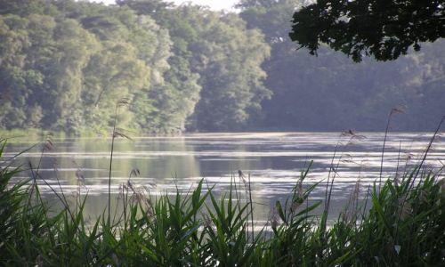 Zdjęcie HOLANDIA / brak / IJZERENMAN / BOSKI RELAKS