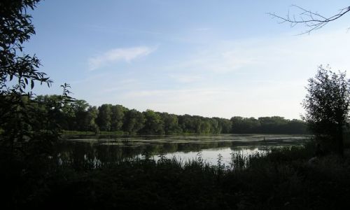 Zdjęcie HOLANDIA / brak / IJZERENMAN / BOSKI RELAKS-2