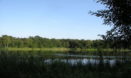 Zdjęcie HOLANDIA / brak / IJZERENMAN / BOSKI RELAKS -3