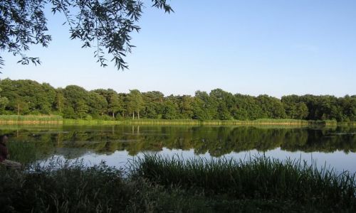 Zdjęcie HOLANDIA / brak / IJZERENMAN / TAM BYŁO CUDOWNIE