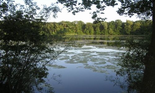 Zdjęcie HOLANDIA / brak / IJZERENMAN / NAD JEZIOREM