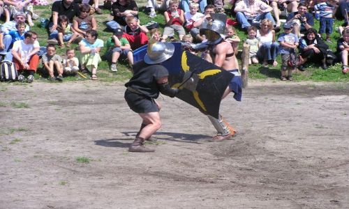 Zdjęcie HOLANDIA / brak / EIDHOVEN / GLADIATORZY-1