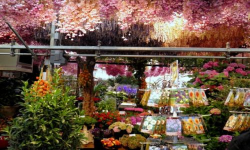 Zdjęcie HOLANDIA / - / Amsterdam / Amsterdam-2