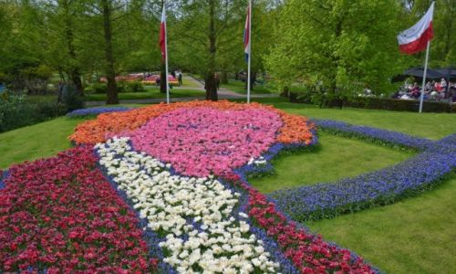 HOLANDIA / Holandia Poudniowa / Keukenhof / Ogrd Keukenhof
