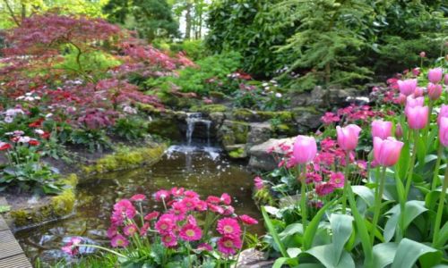 HOLANDIA / Holandia Poudniowa / Keukenhof / Ogrd Keukenhof
