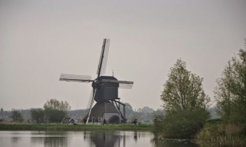 HOLANDIA / Holandia Poudniowa / Kinderdijk / Wiatraki w Kinderdijk