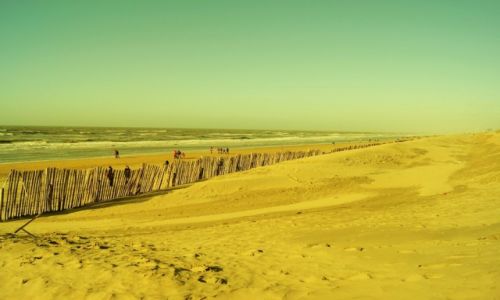 Zdjęcie HOLANDIA / amsterdam / zandvoort / morze moje morze