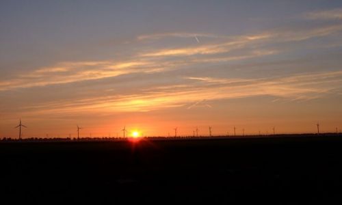 Zdjęcie HOLANDIA / Flevoland / Zeewolde / wiatraki na tle zachodzącego słońca