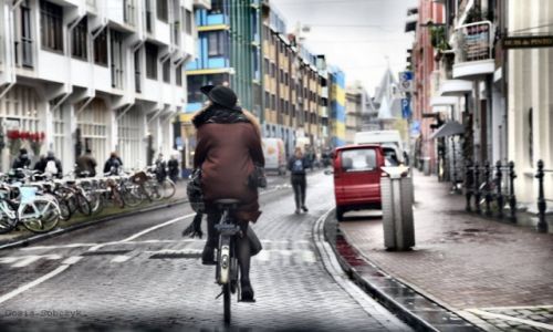 Zdjecie HOLANDIA / Amsterdam / Amsterdam / Amsterdam