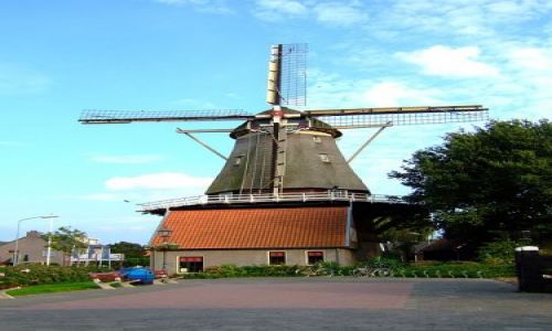 Zdjęcie HOLANDIA / Flevoland / Hardejwik / wiatrak
