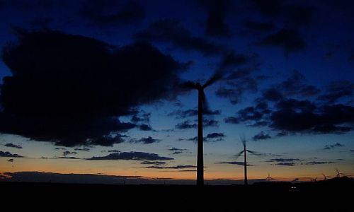 Zdjęcie HOLANDIA / Flevoland / zeewolde / wieczór nad  Flevolandem