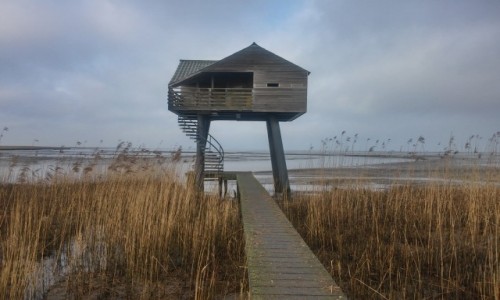 Zdjęcie HOLANDIA / zatoka morska / kiekkaaste  / domek dla ornitologów