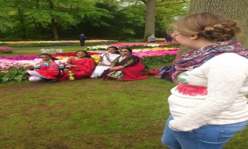 Zdjecie HOLANDIA / Amstredam / Keukenhof / Jak z obrazka