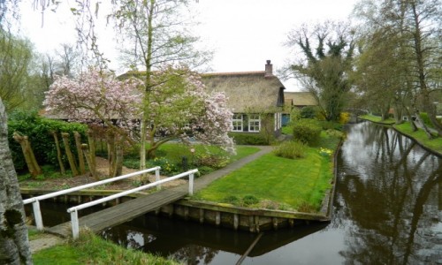 Zdjcie HOLANDIA / gierthoorn / .. / klimatyczne miejsce 