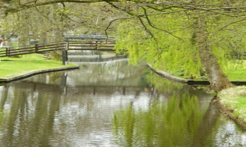 Zdjcie HOLANDIA / gierthoorn / .. / wiosna w Giethoorn