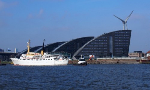 Zdjecie HOLANDIA / Rotterdam / Rotterdam / Rotterdam