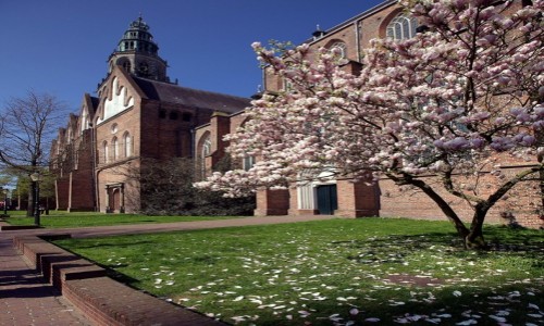 Zdjcie HOLANDIA / Groningen / Stare Miasto / Koci w. Marcina