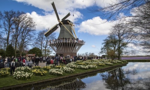 Zdjecie HOLANDIA / Holandia Poudniowa / Lisse / Keukenhof
