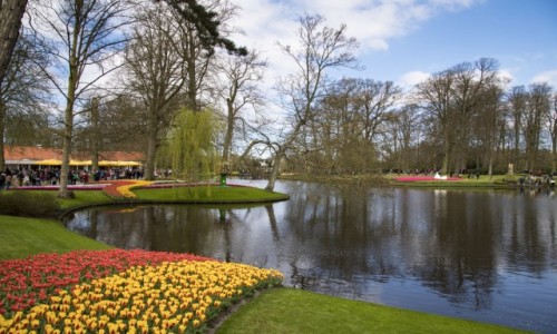 Zdjęcie HOLANDIA / Holandia Południowa / Lisse / Keukenhof