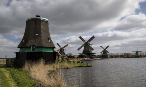 Zdjecie HOLANDIA / Holandia Pnocna / Zaandam / Zaanse Schans