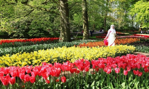 Zdjcie HOLANDIA / Amsterdam / Ogrody Keukenhof / Pani w kwiatach