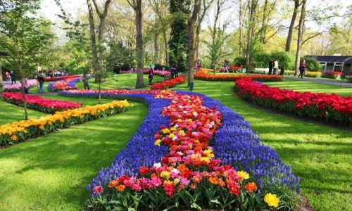 Zdjcie HOLANDIA / Amsterdam / Ogrody Keukenhof / Esy-floresy