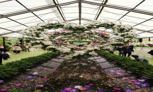 HOLANDIA / Amsterdam / Ogrody Keukenhof / Dekoracje