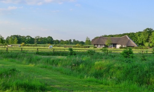 Zdjcie HOLANDIA / Achterhoek/ Wschodnia  Holandia / Droga czca  Kotten i Winterswijk / Holenderski styl ycia 