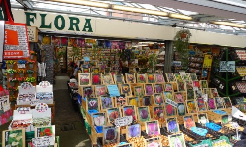 Zdjęcie HOLANDIA / Noord Holland / Pływający targ kwiatowy w Amsterdamie / Oni kochają kwiaty