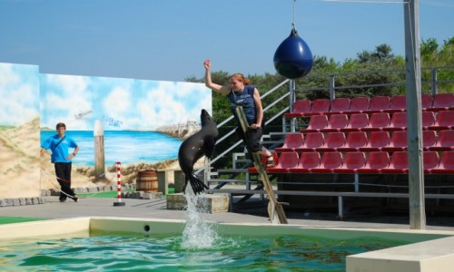 Zdjęcie HOLANDIA / Zeeland / Deltapark Neeltje Jans / Muszę sięgnąć po smakołyk