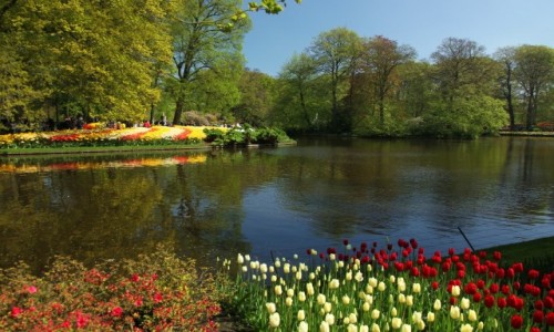 Zdjcie HOLANDIA / Amsterdam / Ogrody Keukenhof  / Nad wod