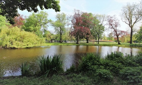 Zdjcie HOLANDIA / Amsterdam / . / Vondelpark