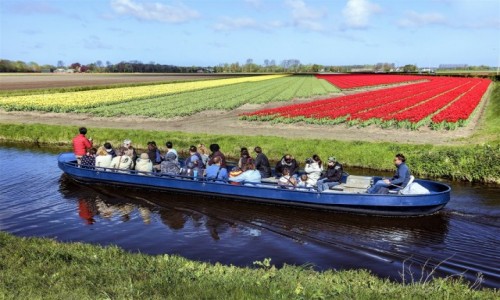 Zdjcie HOLANDIA / Amsterdam / Ogrody Keukenhof  / Z odzi wida wicej