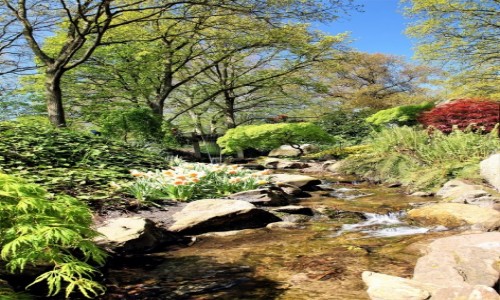 Zdjecie HOLANDIA / Amsterdam / Ogrody Keukenhof  / Nad strumykiem