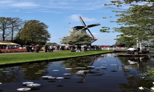 Zdjcie HOLANDIA / Amsterdam / Ogrody Keukenhof  / Symbol Niderlandw