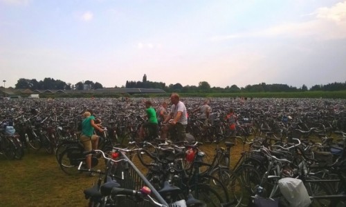 Zdjcie HOLANDIA / Wschodnia Holandia/ Achterhoek / Miejscowo Lichtenvoorde/ parking dla rowerw / Iga w stogu siana