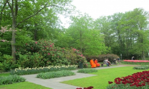 Zdjcie HOLANDIA / Bollenstreek / Keukenhof / Ogrody Keukenhof