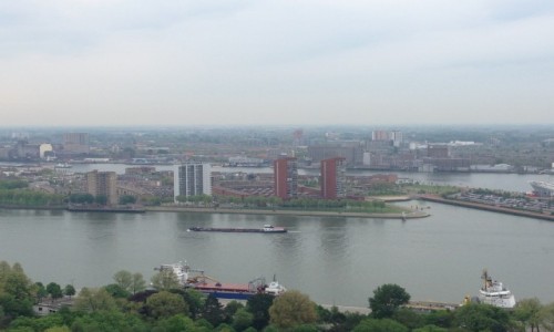 Zdjcie HOLANDIA / Randstad Holland / Rotterdam / Rotterdam