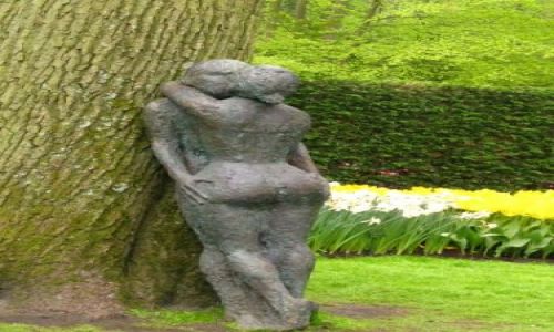 Zdjęcie HOLANDIA / brak / keukenhof / under a tree