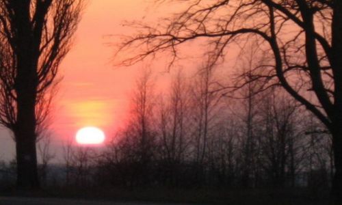 Zdjecie HOLANDIA / brak / oss / the sunset 2